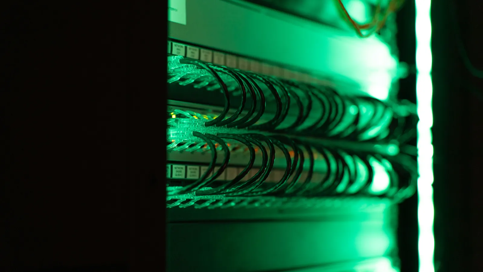 Serverrack met netwerkkabels in groen licht, de basis van een high-performance webplatform